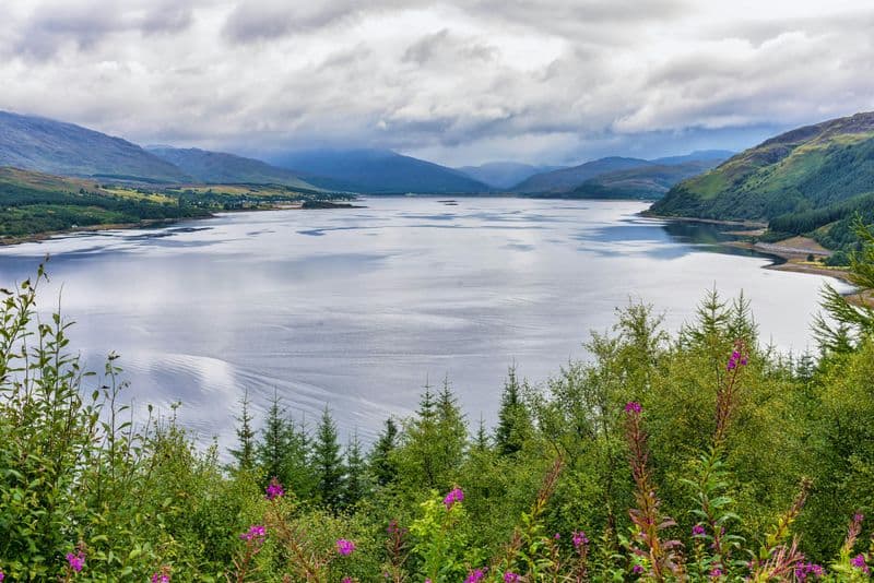 Billet Visite d'Applecross, du Loch Carron et des Highlands sauvages au départ d'Inverness