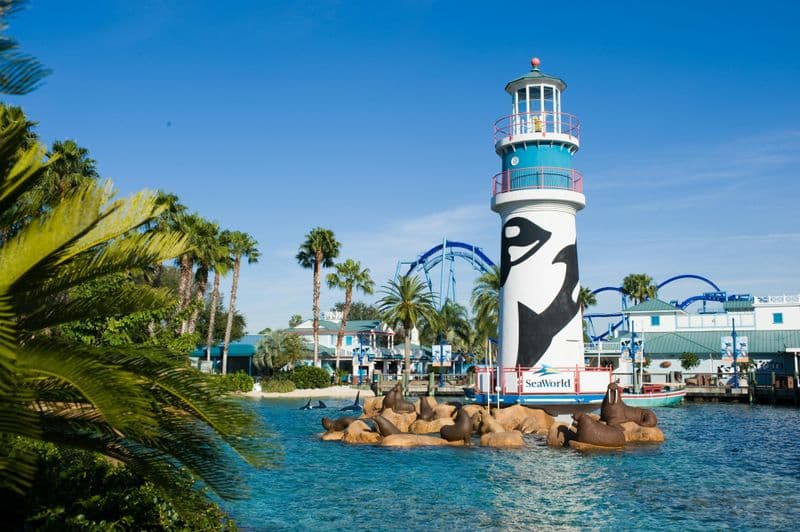 Billet SeaWorld Orlando Rescue tour