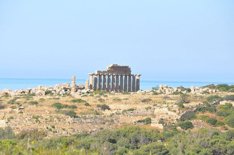 Billet Visite guidée du parc archéologique de Sélinonte