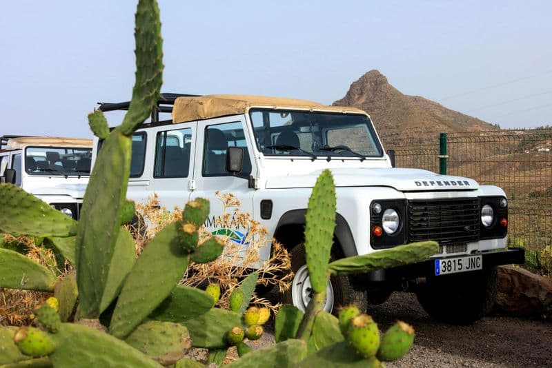 Billet Safari en 4x4 à Masca