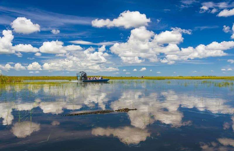 Billet Excursion d'une journée au parc national des Everglades avec transfert aller-retour
