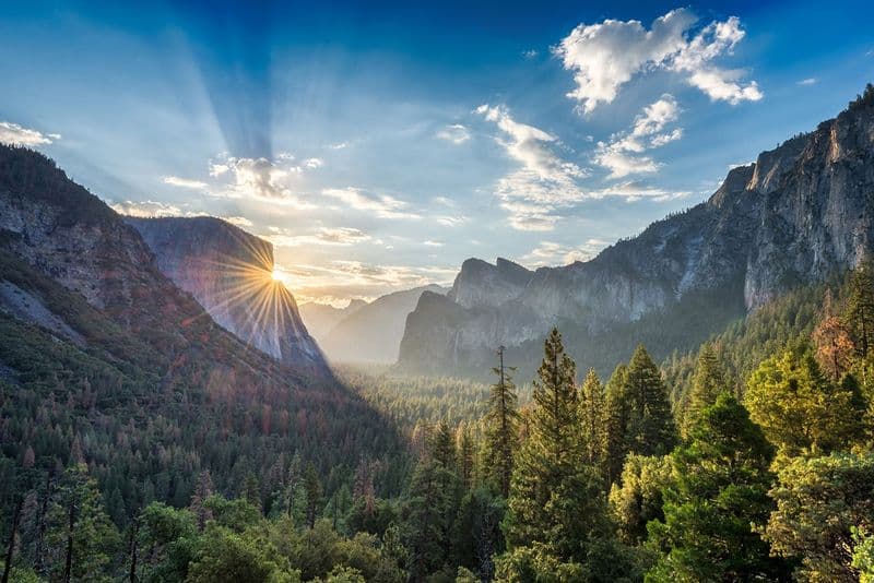 Billet Excursion d'une journée au parc national de Yosemite