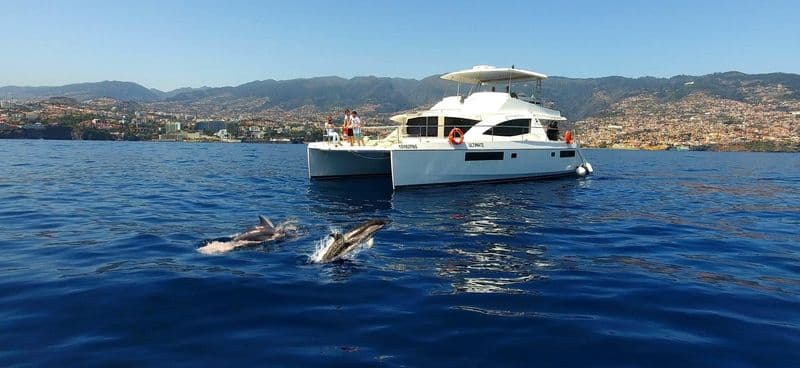 Billet Observation des dauphins et des baleines à Funchal avec un catamaran de luxe tout compris