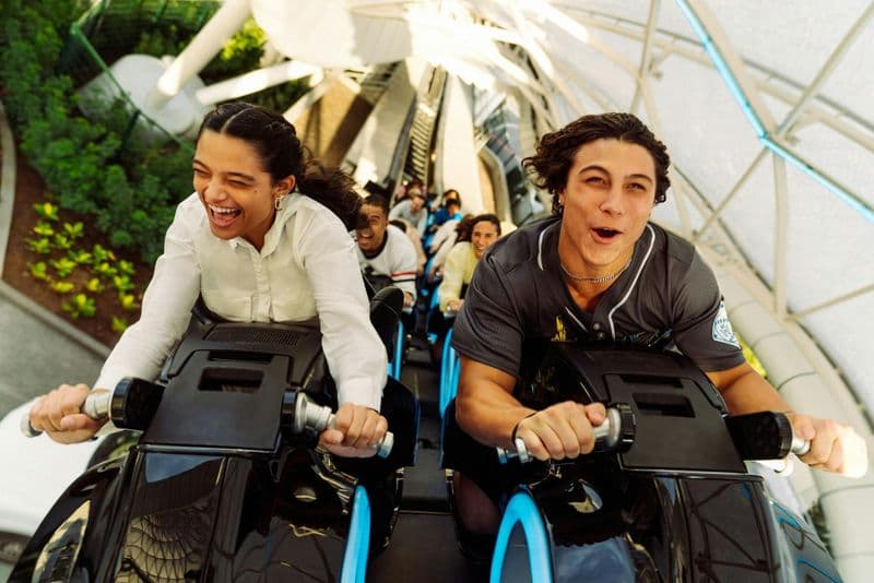 Billet Billet standard 1 jour pour Walt Disney World Resort