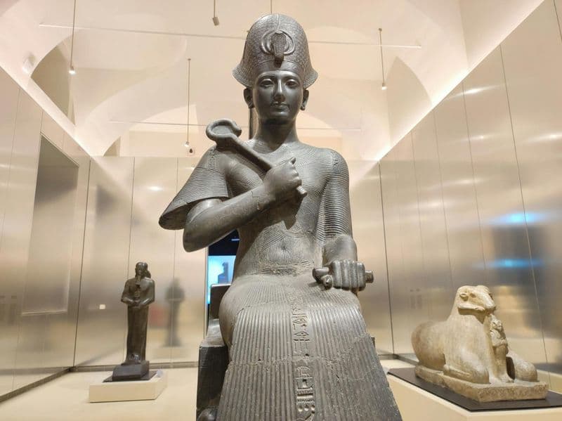 Billet Visite de groupe coupe-file au Musée égyptien de Turin