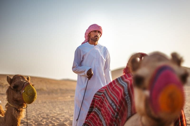Billet Safari d'une demi-journée dans le désert au départ d'Abou Dhabi