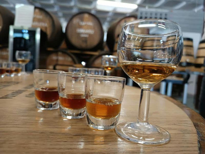 Billet Visite des vignobles, expérience de dégustation et aventure en 4x4 sur la passerelle