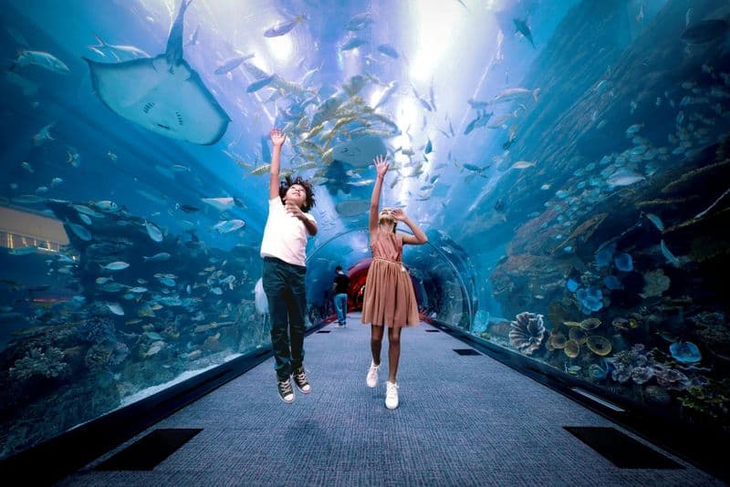 Billet Billets pour les étages 124 et 125 du Burj Khalifa et l'aquarium de Dubaï