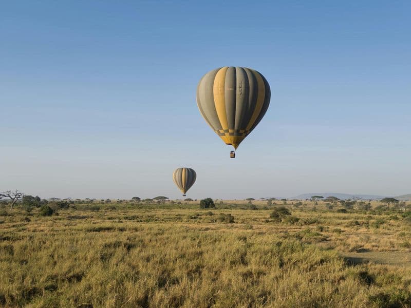 Billet Safari privé de deux jours dans le parc national du Serengeti avec montgolfière