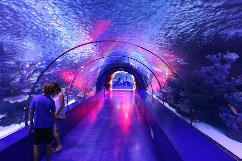 Billet Visite de l'aquarium, du centre de l'or et de la vieille ville d'Antalya