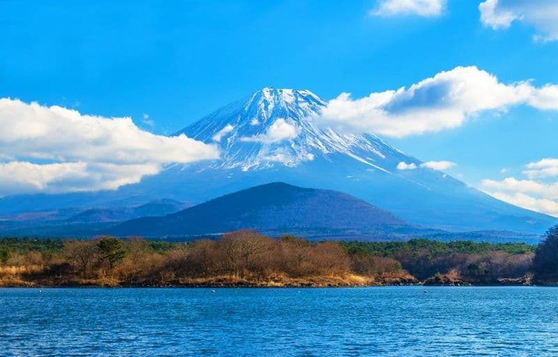 Billet Excursion d'une journée au lac Fuji Kawaguchi, au lac Yamanaka et au lac Sai au départ de Tokyo