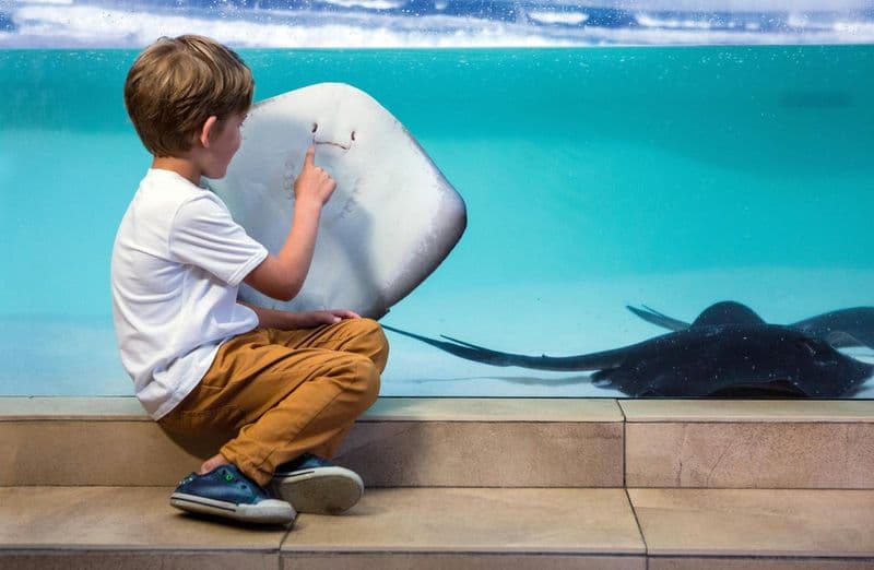 Billet Billet pour l'aquarium de Palma