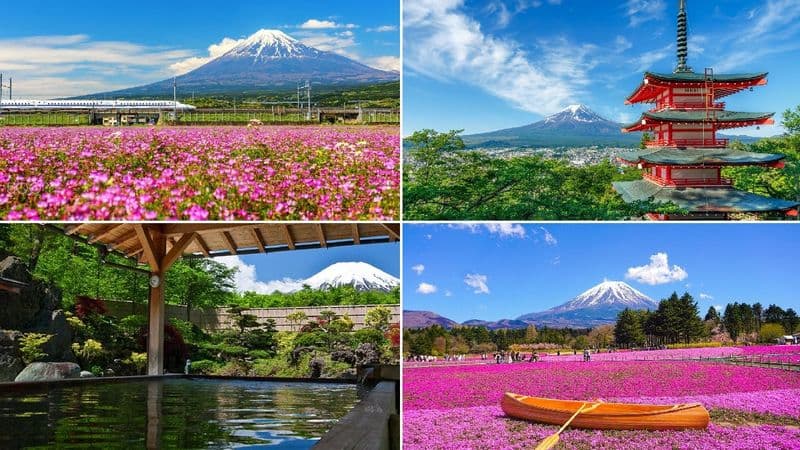 Billet Mt. Fuji Twin Lakes Scenic, Kawaguchiko, Yamanaka, and Onsen 1-Day Tour