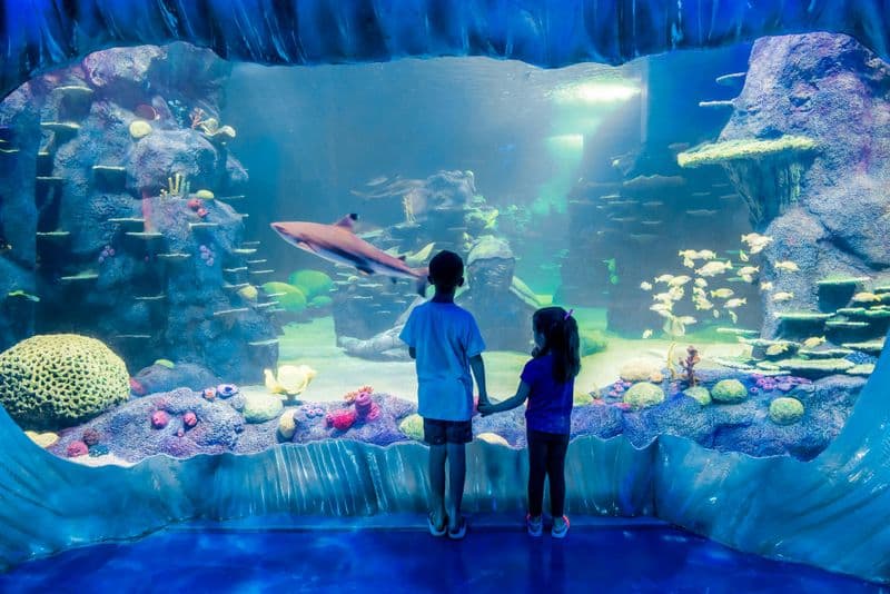 Billet Billets pour l'aquarium Sea Life de Sydney