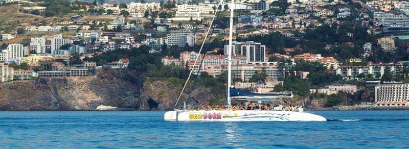 Billet Dégustation de vins de Madère et visite d'observation des dauphins
