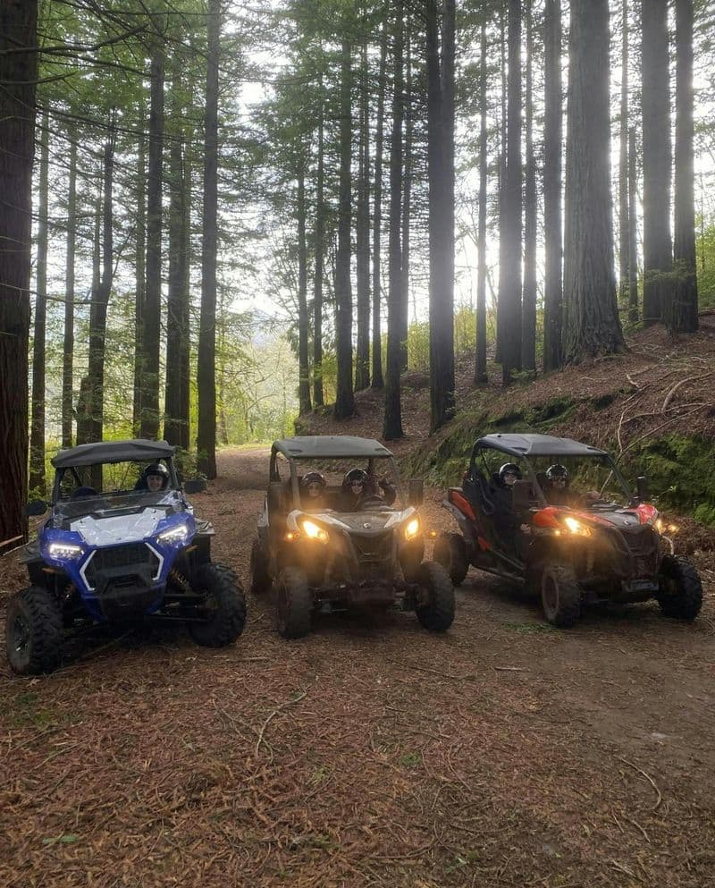 Billet Private buggy off-road driving experience in Madeira