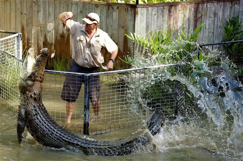 Billet Aventures de crocodiles d'une demi-journée à Hartley