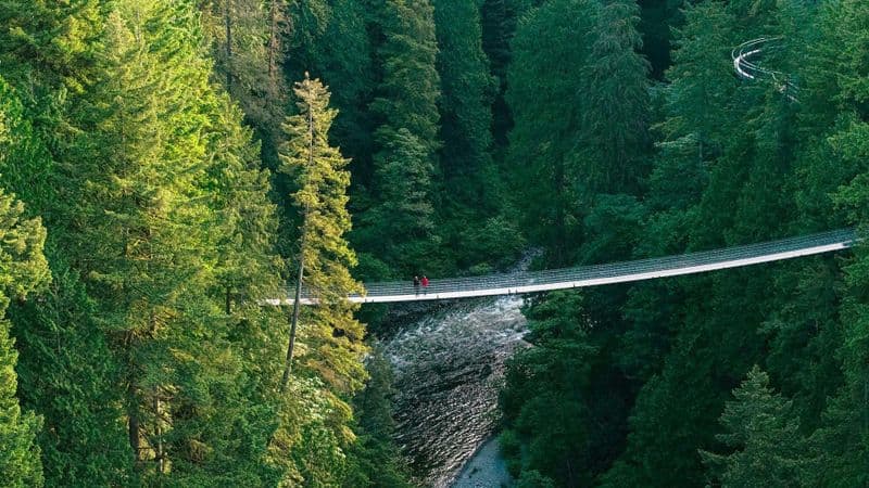 Billet Billets pour le parc du pont suspendu de Capilano