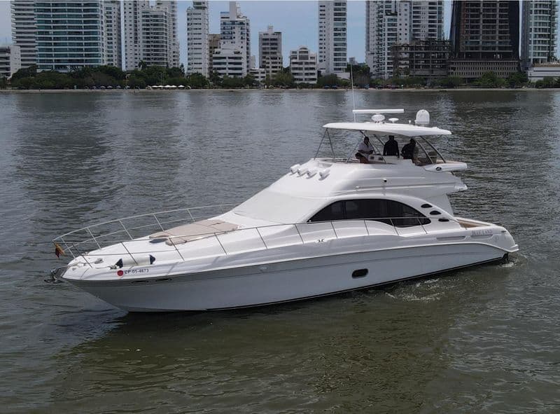 Billet Location de bateau - Sea Ray 58 (Yacht)