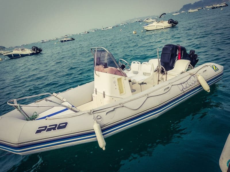 Billet Location de bateau - Zodiac Pro Open 550 (Semi-rigid)