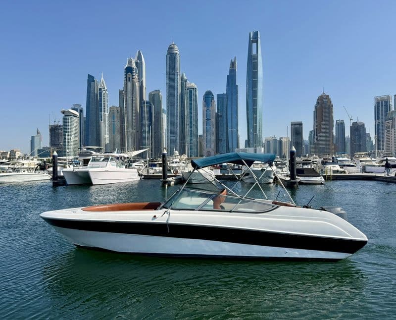 Billet Location de bateau - Yamaha Hannibal730 (Motorboat)