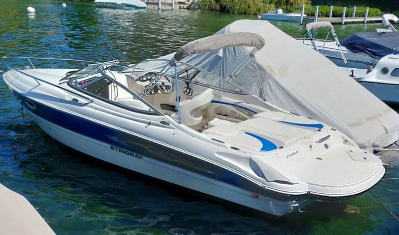 Billet Location de bateau - Stingray 225cr (Motorboat)