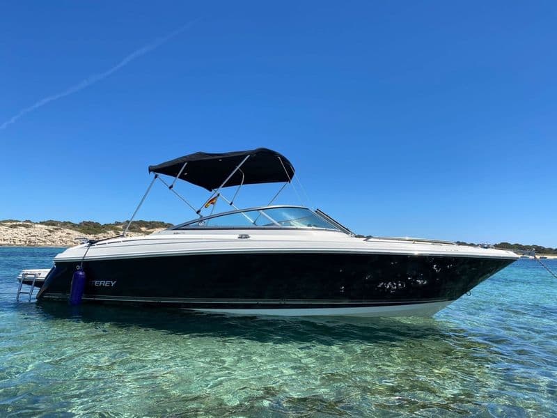 Billet Location de bateau - MONTEREY 234FS (Motorboat)