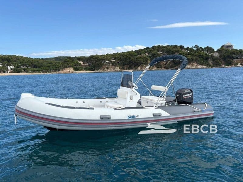Billet Location de bateau - Silver 495 (Motorboat)