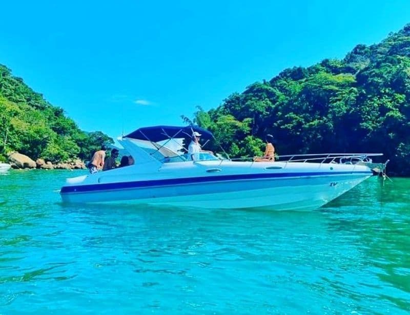 Billet Location de bateau - Real Nico 29ft (Motorboat)