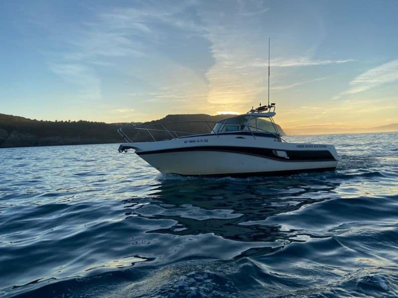 Billet Location de bateau - Faeton 780 Moraga (Motorboat)