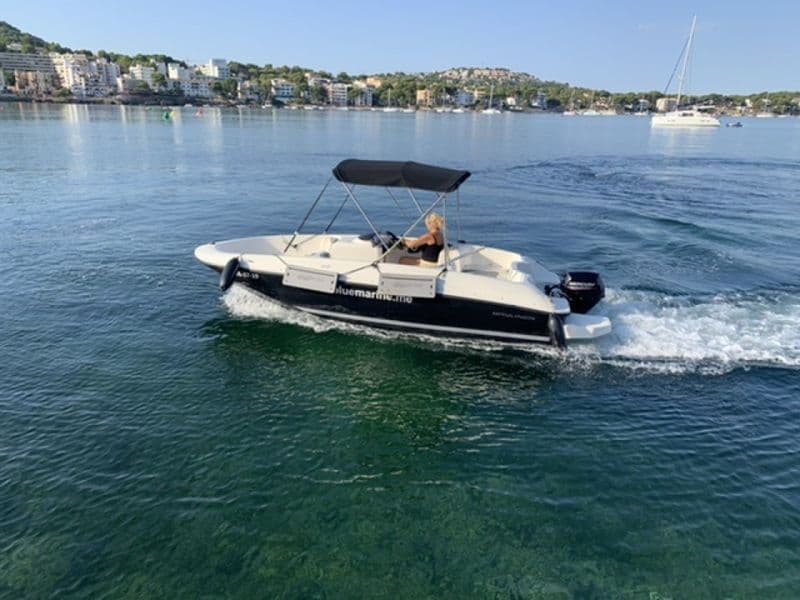 Billet Location de bateau - Bayliner element E 5 (Motorboat)