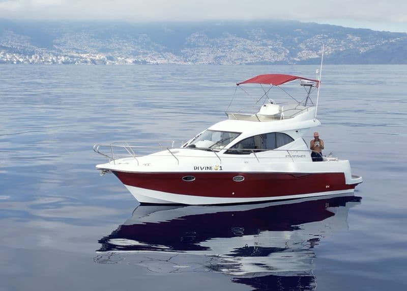Billet Location de bateau - Starfisher ST34 (Motorboat)