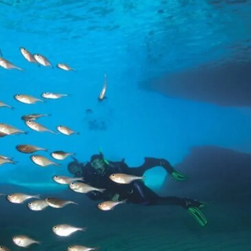 Billet Baptême de Plongée au Cap Cerbère près de Banyuls-sur-Mer