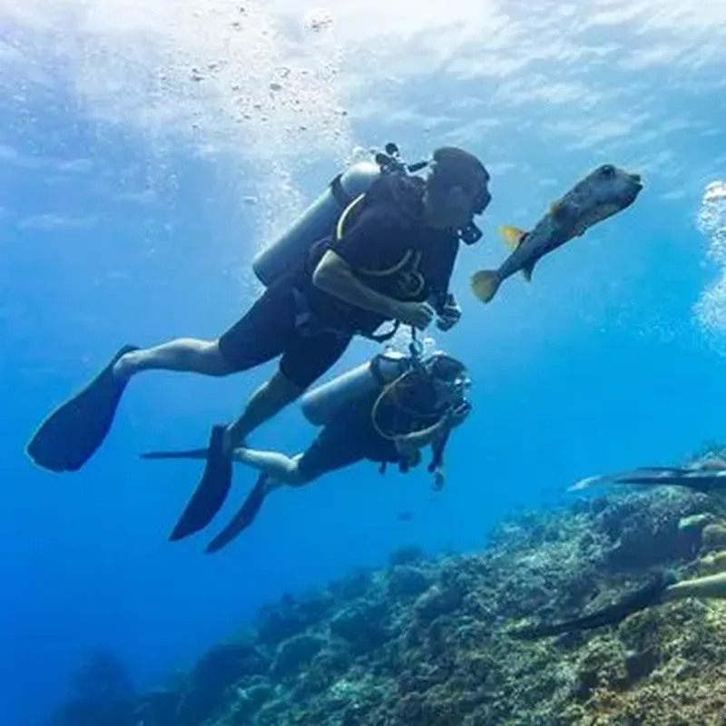Billet Brevet de Plongée CMAS Niveau 1 à Hyères