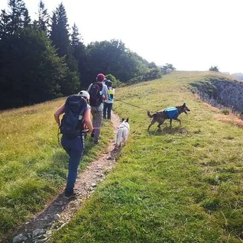 Billet Balade en Cani-Rando dans le Vercors à Autrans