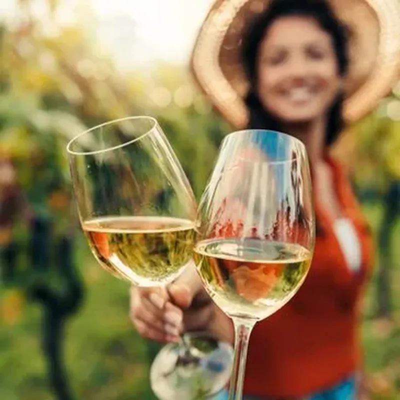 Billet Cours d'Œnologie dans un Château près de Nantes