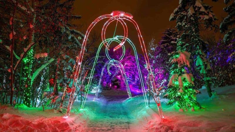 Billet Wilder Institute/Calgary Zoo : ZOOLIGHTS Billet d'entrée