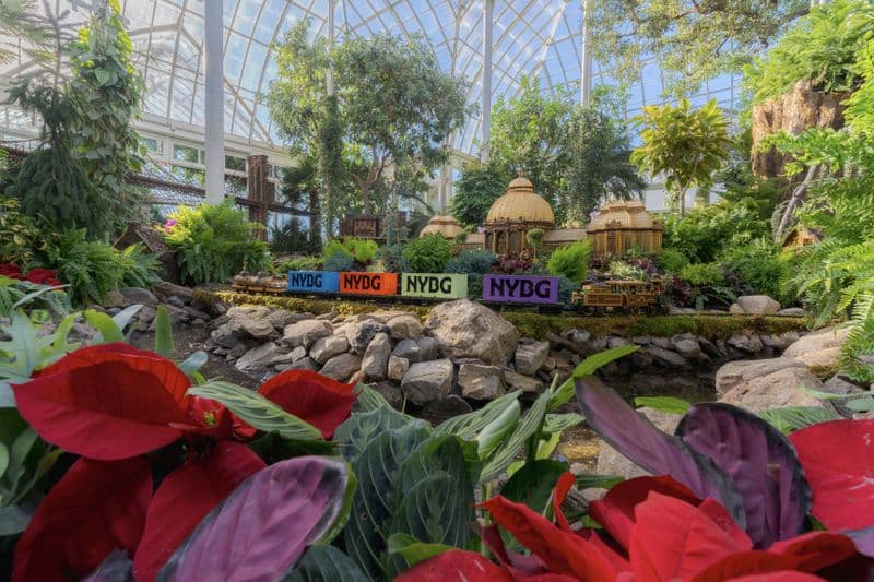 Billet Jardin botanique de New York : Train de Noël