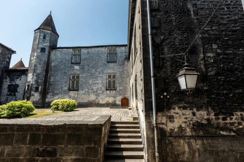 Billet Château Royal de Cognac : Visite guidée + dégustation