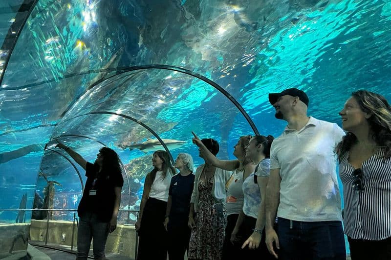 Billet Aquarium de Barcelone : Visite guidée