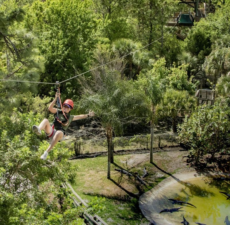 Billet Gatorland Orlando : tyrolienne Screamin' Gator
