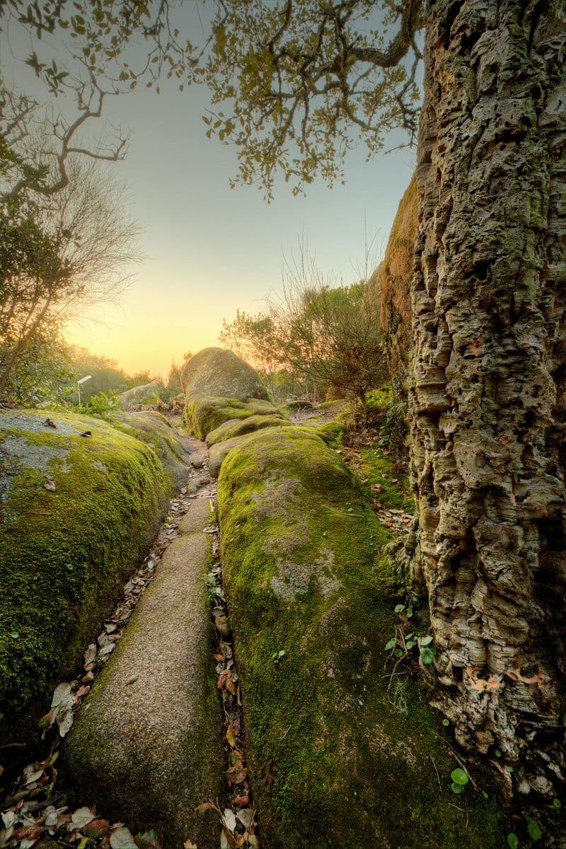 Billet Couvent des Capucins: Billet d'entrée