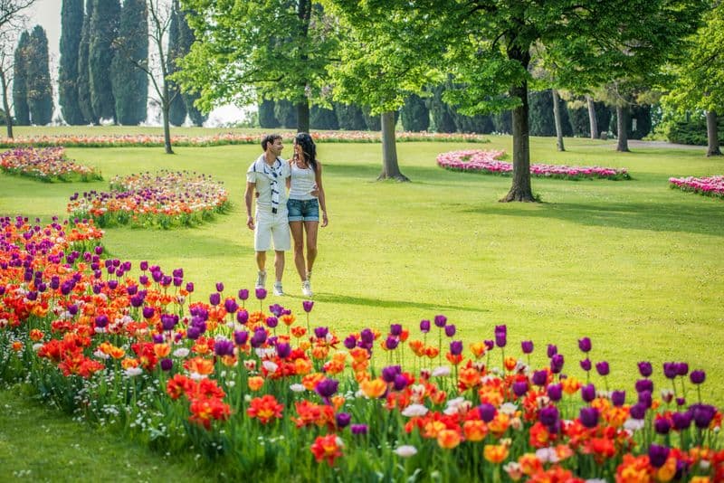 Billet Parco Giardino Sigurtà : Open Date Ticket