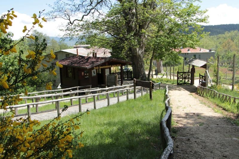 Billet Les Géants de la Sila : Visite guidée