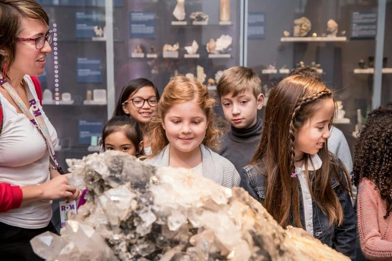 Billet Musée royal de l'Ontario : Billet d'entrée + Visite guidée