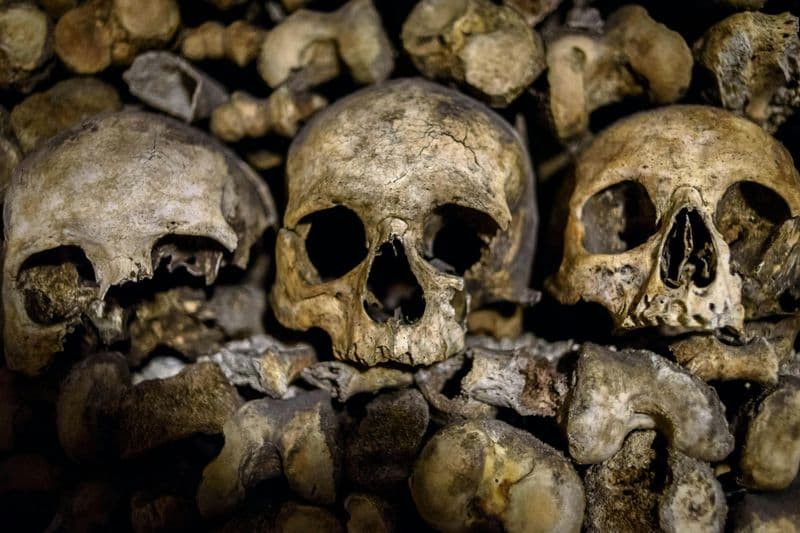 Billet Catacombes de Paris : Visite guidée en anglais