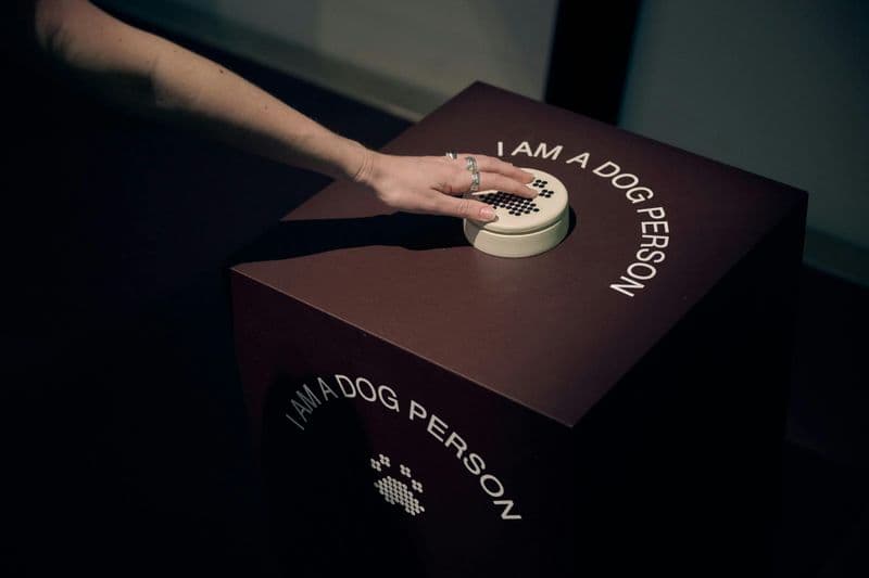 Billet National Gallery of Victoria : Exposition "Cats & Dogs