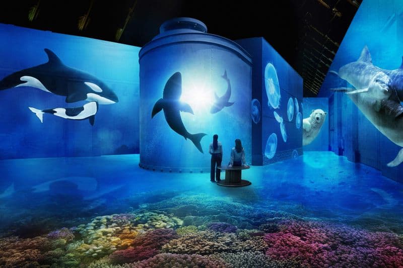 Billet Fabrique des Lumières : Entrée dans l'expérience immersive