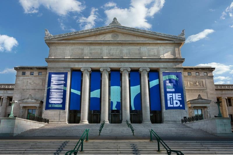 Billet The Field Museum of Natural History : Visite guidée + Accès anticipé + Exposition
