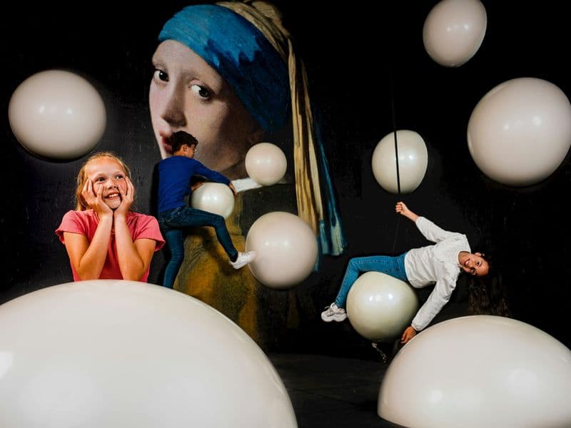 Billet Madurodam: Billet d'entrée